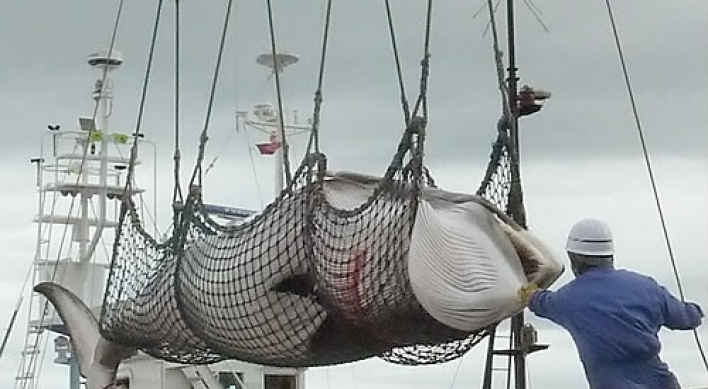 Animal rights advocates condemn Norway‘s whale hunt