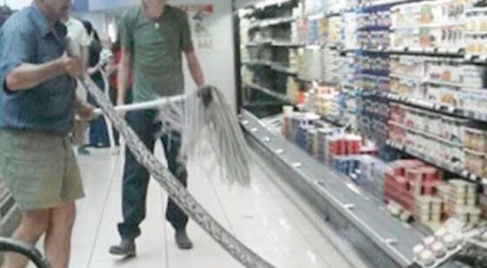 슈퍼마켓에서 발견된 3.7m ‘괴물뱀’