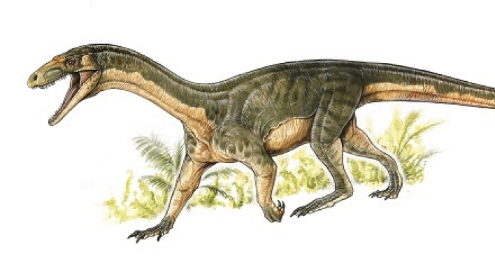 Dino ancestors looked like crocodiles: study