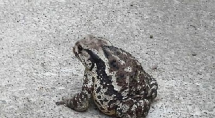 Man dies after eating toad mistaken for bullfrog