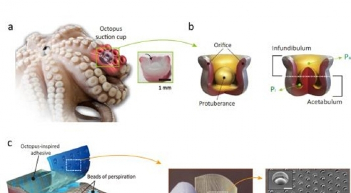 Scientists develop adhesive patch inspired by octopuses