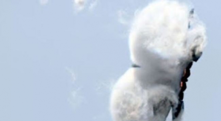 F-22 전투기, 구름 위를 ‘둥둥’