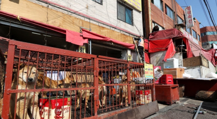 Animal rights group demands tougher stance on dog meat