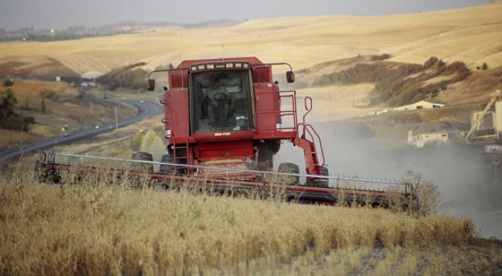 An odd trend in wheat country: not much wheat