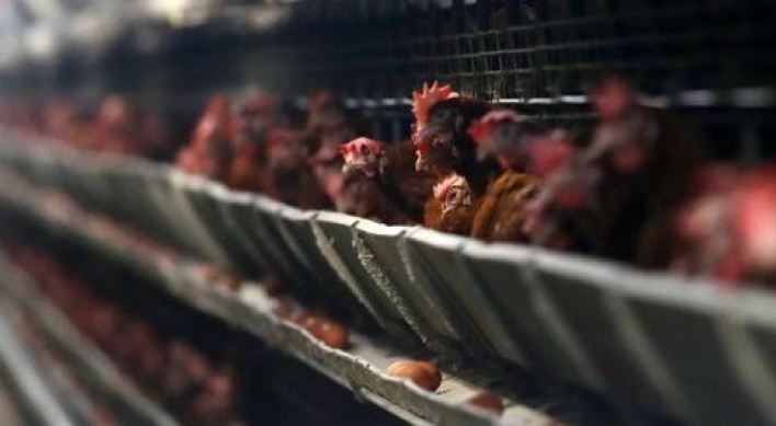 Korea to enhance poultry farming environment