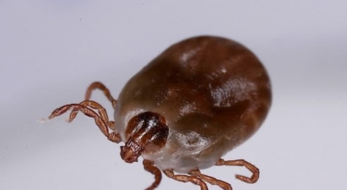 Death by killer bush ticks doubles this year