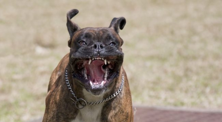 [Feature] Calls grow for stronger punishment against killer pet dogs