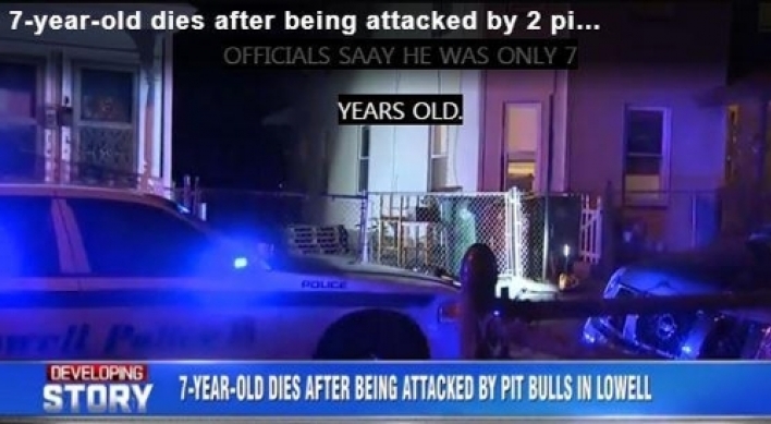 미국서도 맹견 사고…핏불테리어가 7세 소년 공격 사망