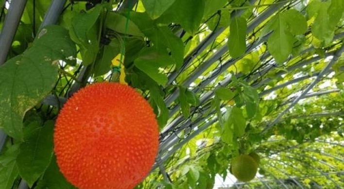 Tropical crops successfully cultivated in southern South Korea