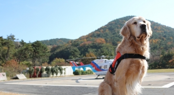 Rescue dog ‘Cheondoong’ retires after saving 12 lives