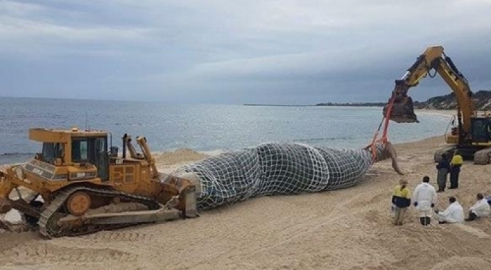 해변에 나타난 거대 사체... 중장비 동원