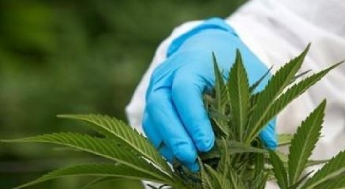 Australia to ease barriers on medical marijuana export