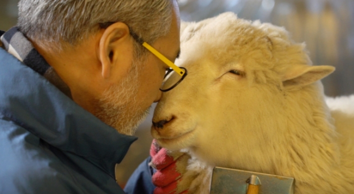 [Video] An afternoon in Seoul at a sheep cafe