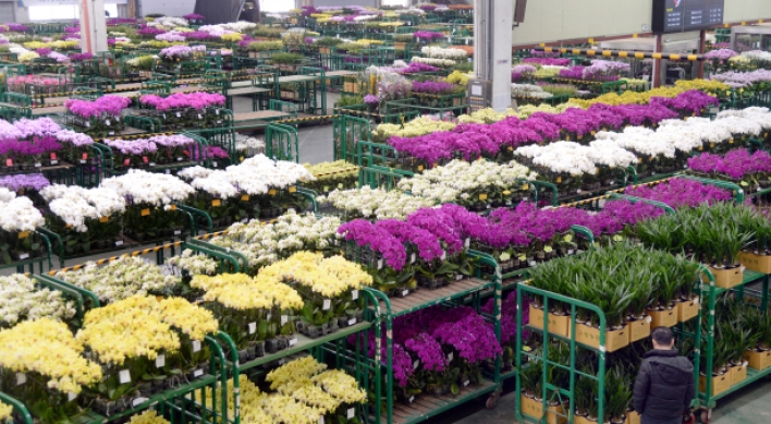 [Photo News] In full bloom for March