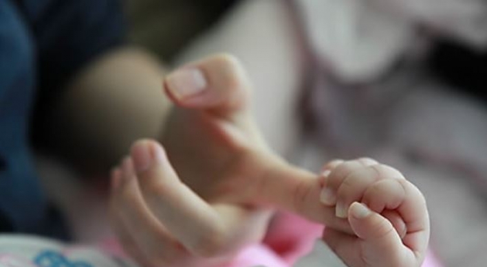 Court recognizes surrogate mother as legal parent