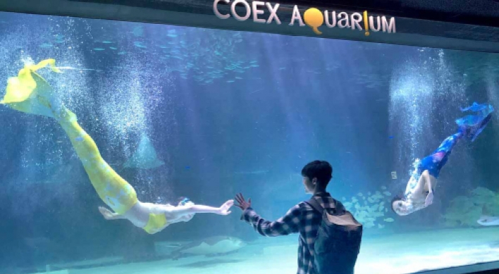 Coex Aquarium introduces summer performances and ‘healing time’