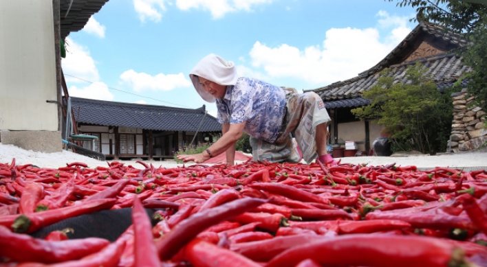 [Photo News] What’s redder than the sun?