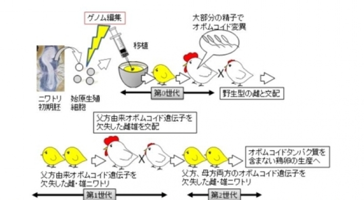 게놈편집으로 1개 30억짜리 '알' 낳는 닭 만들었다