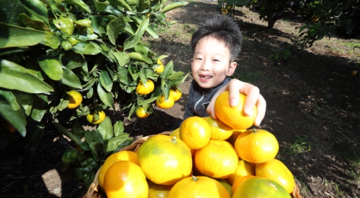 Cheong Wa Dae gifts NK tangerines in return for mushrooms