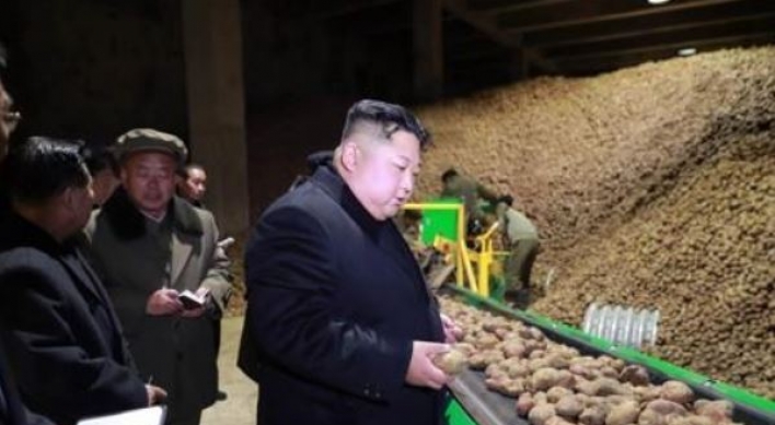 N. Korea touts bumper harvest of potatoes