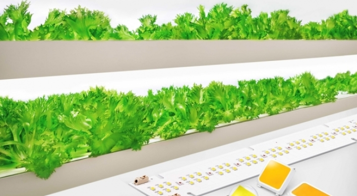 Samsung unveils horticulture LED products for greenhouse, vertical farming