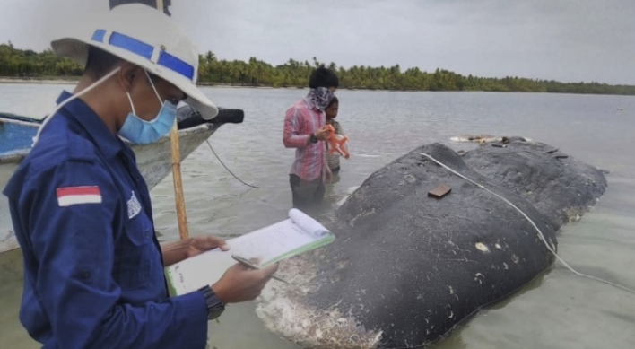 Dead whale had 115 plastic cups, 2 flip-flops in its stomach