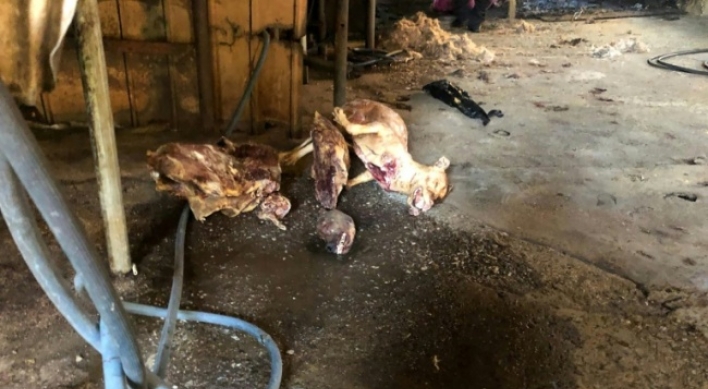 South Korea closes biggest dog slaughterhouse complex