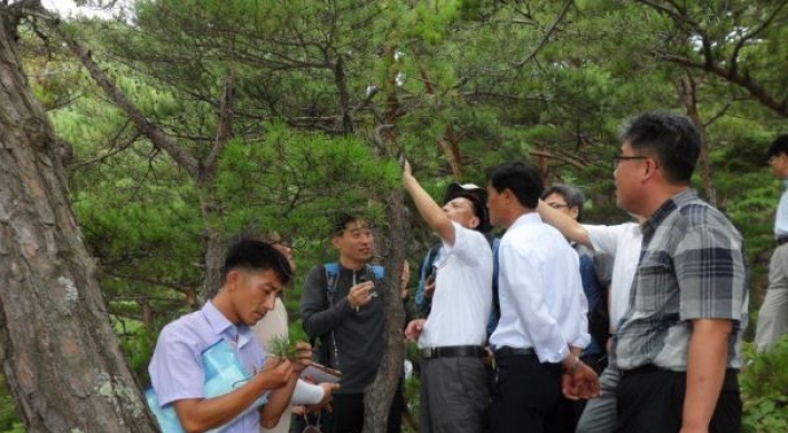 Koreas discuss cooperation to fight tree diseases, modernize tree nurseries