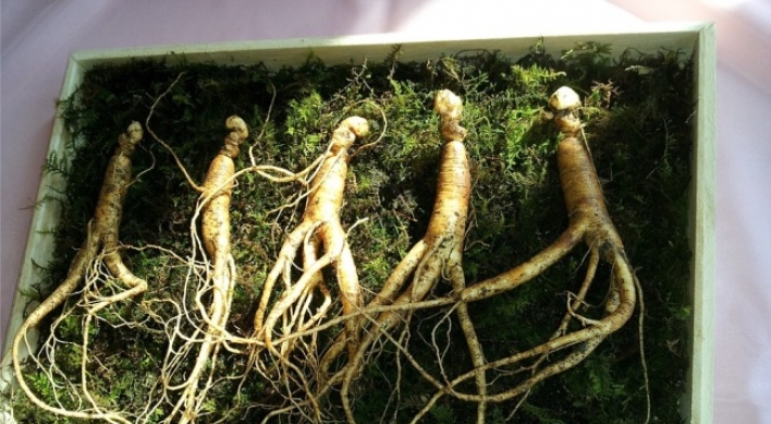 N. Korea adopts law on cultivation, distribution of ginseng