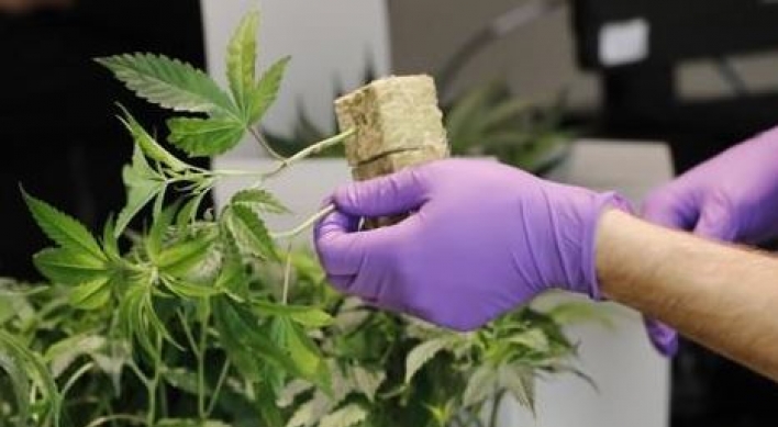 Imports of medical cannabis to be allowed next month