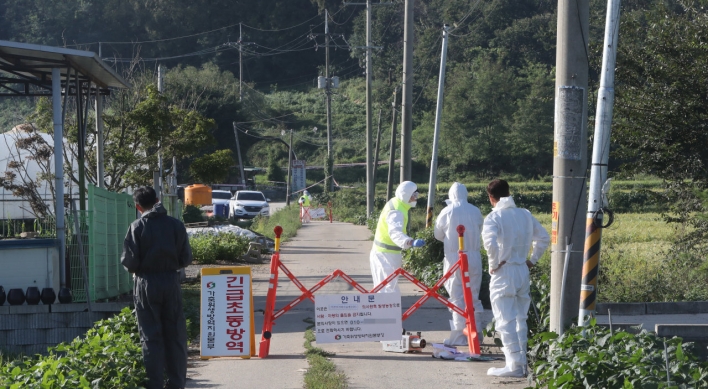 South Korea rushes to stem spread of African swine fever