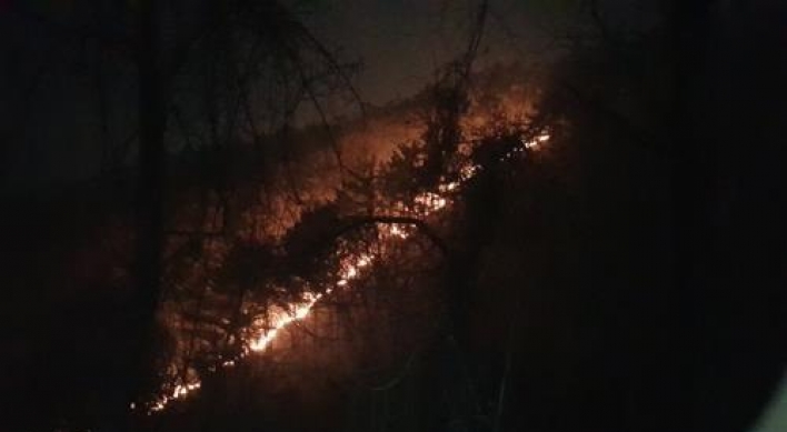 Gangwon fire almost contained after burning 2 ha of forest