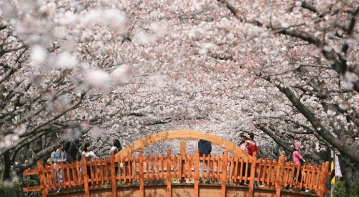 Changwon bars access to cherry blossom sites amid coronavirus concerns