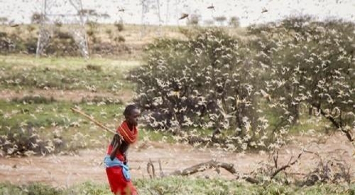 S. Korea to provide $4m in aid to 14 countries hit by locust swarms