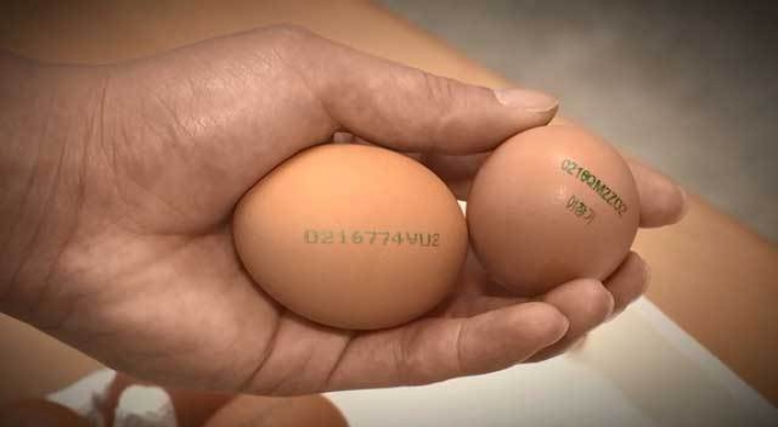 Coronavirus-affected egg thief gets 1-year prison sentence