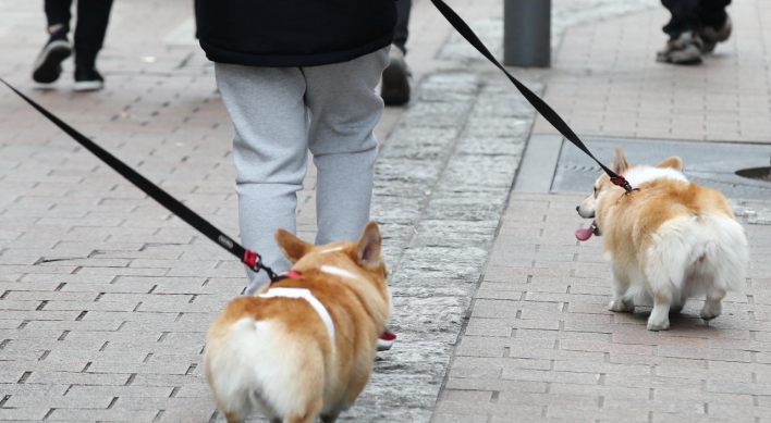 Seoul city to test pet cats, dogs for COVID-19