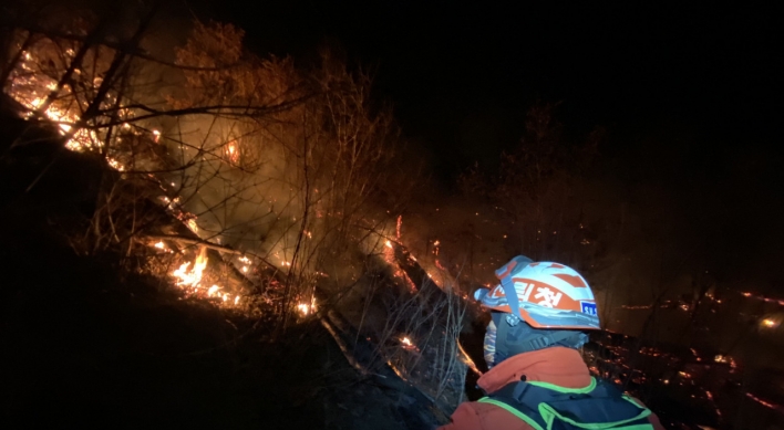 Forest fire in Jeongseon contained, no casualties reported