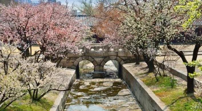 Spring flowers at Seoul's royal palaces to peak in April