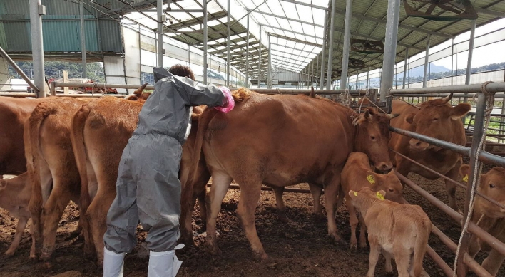 S. Korea to roll out vaccine against FMD by May