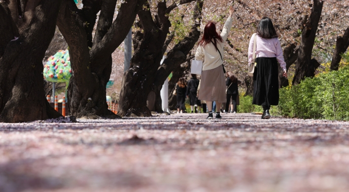 S. Korea records highest temperature for March, earliest cherry blossom bloom in Seoul in 99 yrs