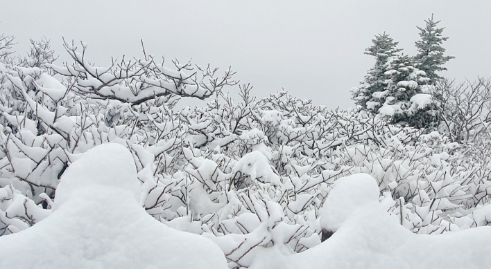 Unseasonal snowfall covers mountains in Gangwon Province