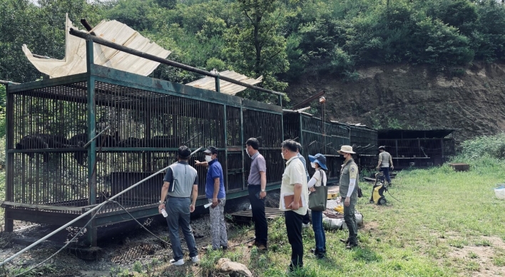 Escaped bears expose decades-old problems of inhumane bile farming in S. Korea