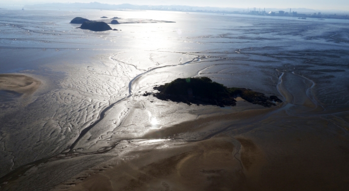 S. Korean tidal flats listed as UNESCO world heritage