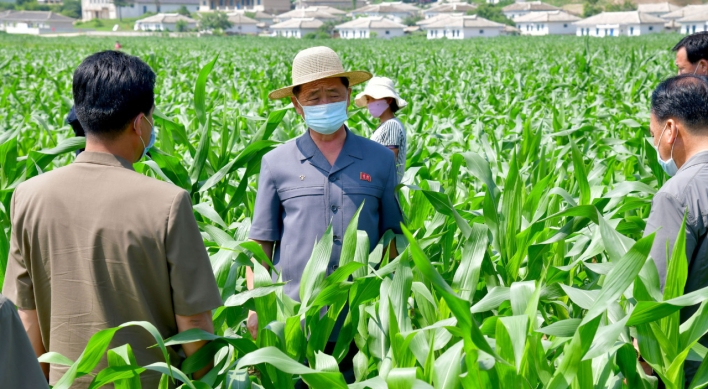 N. Korea puts major rice-producing areas on high alert against flooding