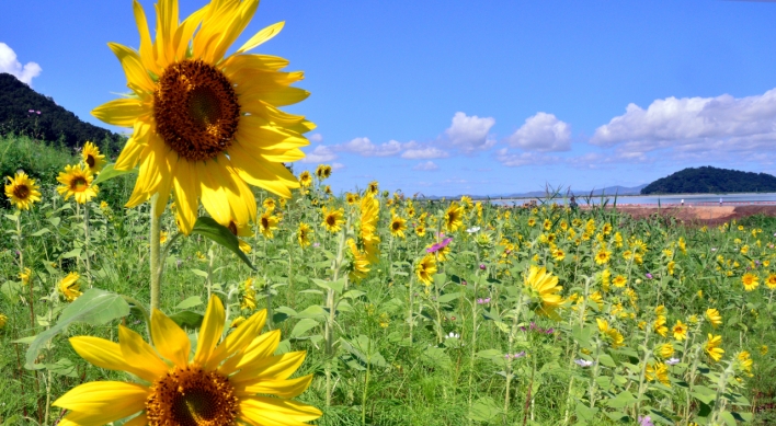 [Eye Plus] A warm breeze heralds the start of autumn