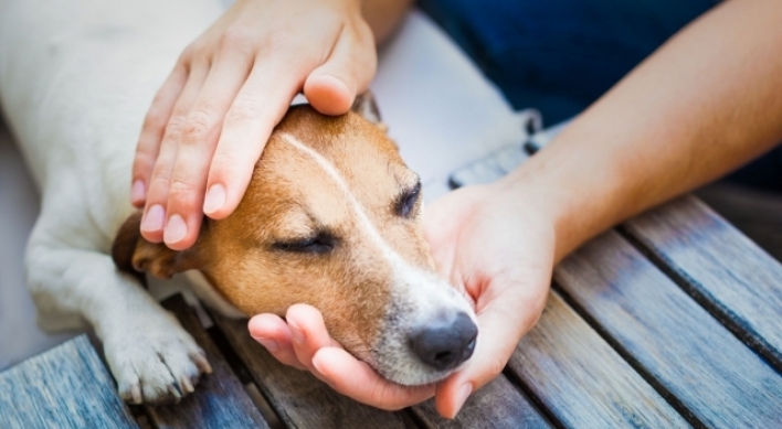 South Korea aims to raise pet registration rate to 70%