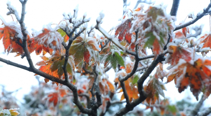 Seoul logs coldest mid-October morning in 67 years