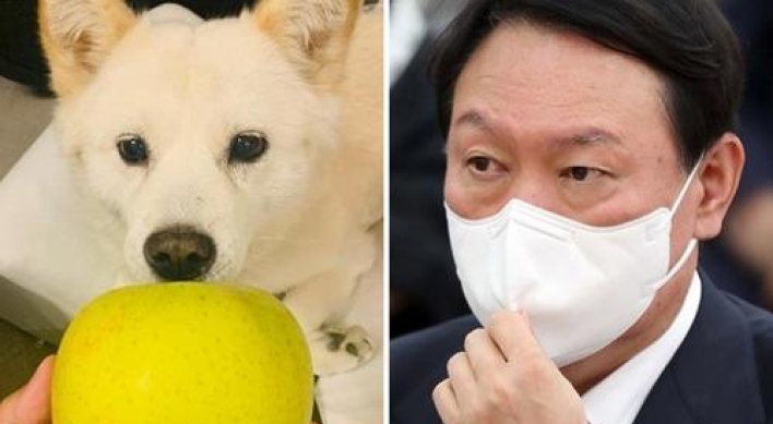 Yoon accused of 'mocking' nation with pic of dog with apple