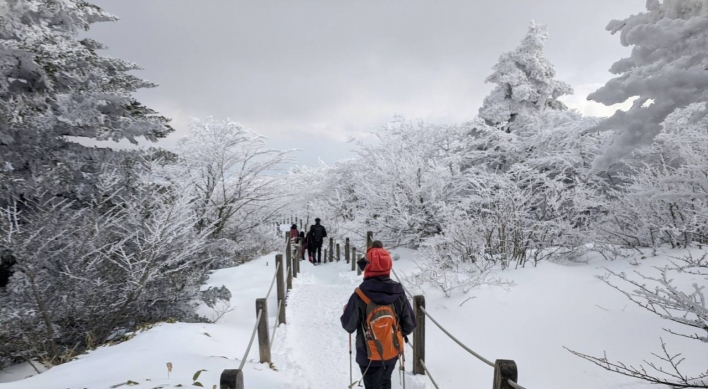 [Visual History of Korea] Completing Christmas with Korean fir tree and remembering first Korean Catholic priest