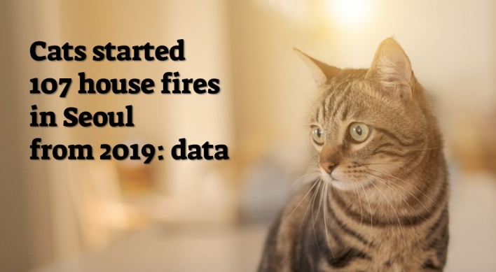 Cats responsible for 107 house fires in Seoul in past 3 yrs